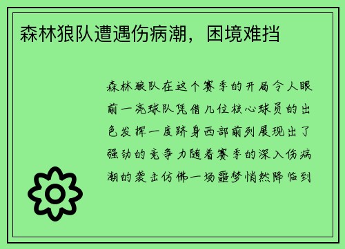 森林狼队遭遇伤病潮，困境难挡