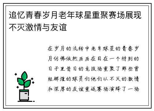 追忆青春岁月老年球星重聚赛场展现不灭激情与友谊